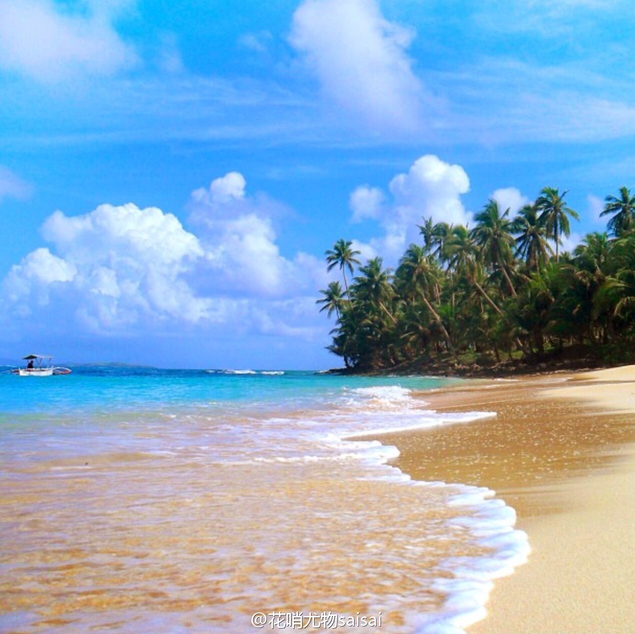 花哨尤物saisai的微博列表微女郎